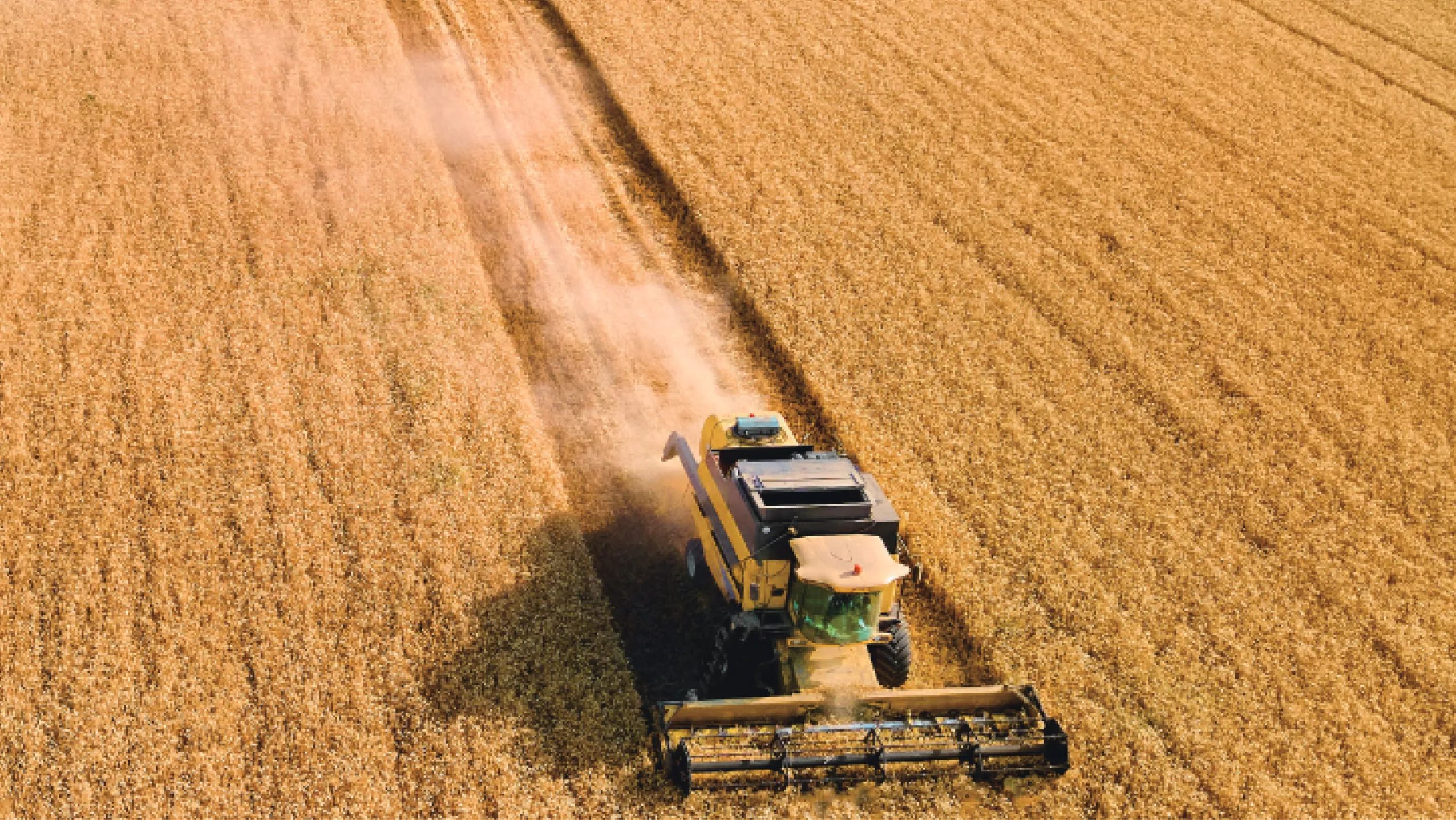 Vector AGR Official Website Development