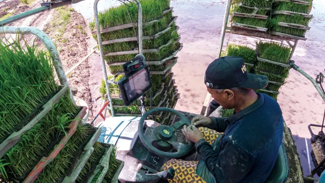 Vector AGR Official Website Development