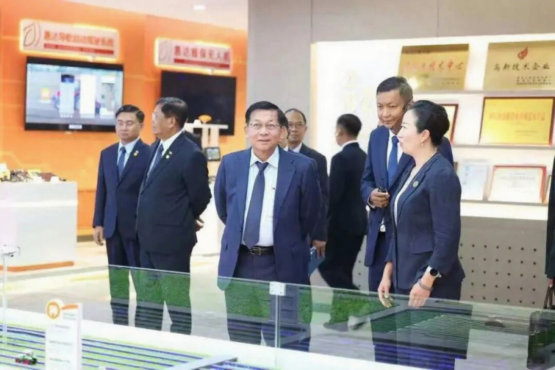 Vector AGR Official Website Development