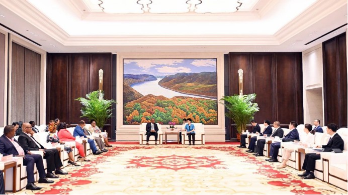 Vector AGR Official Website Development