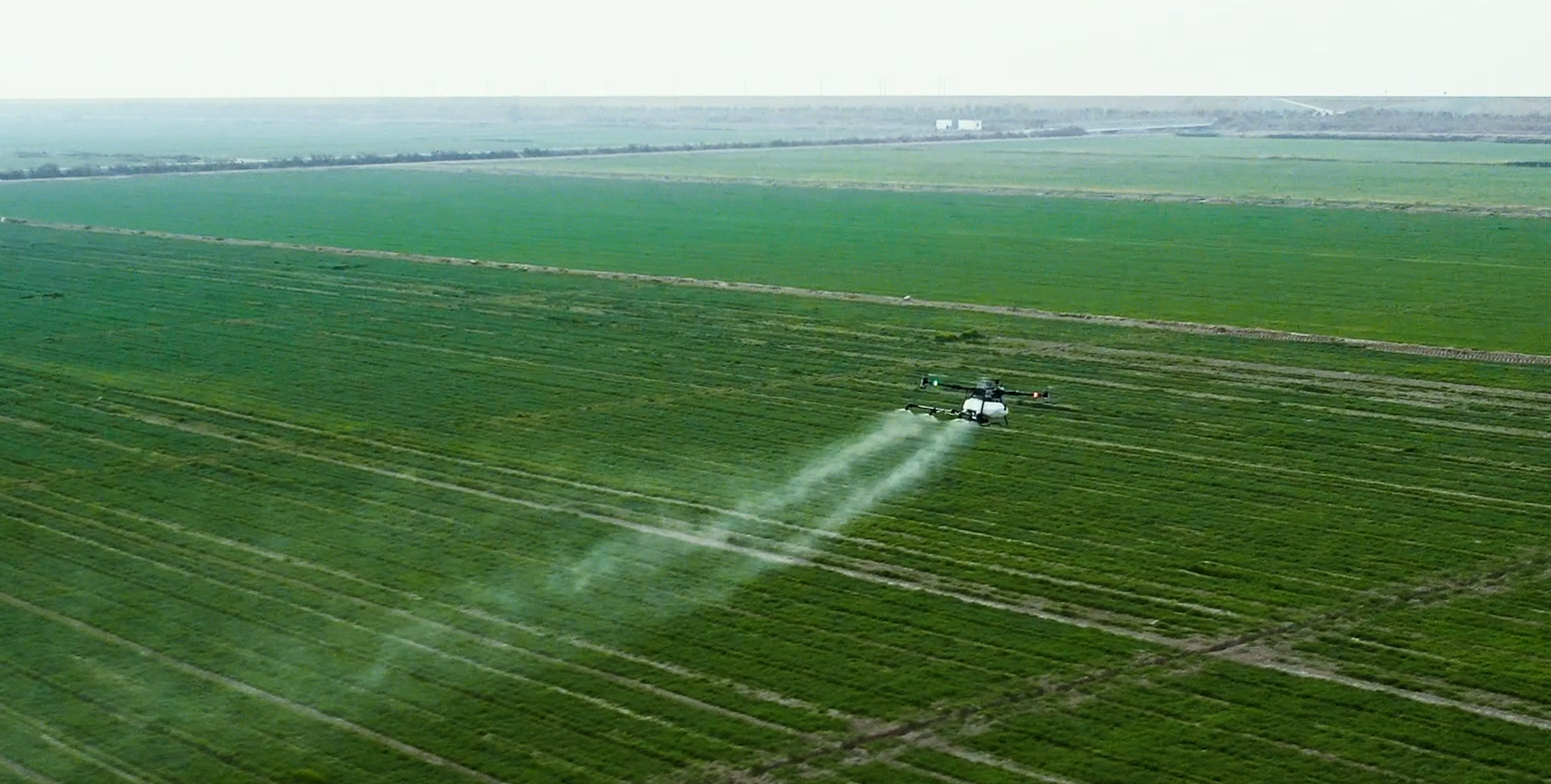 Vector AGR Official Website Development