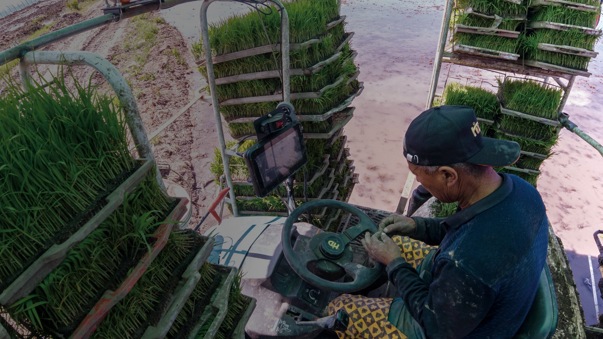 Vector AGR Official Website Development