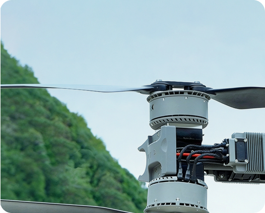 Vector AGR Official Website Development