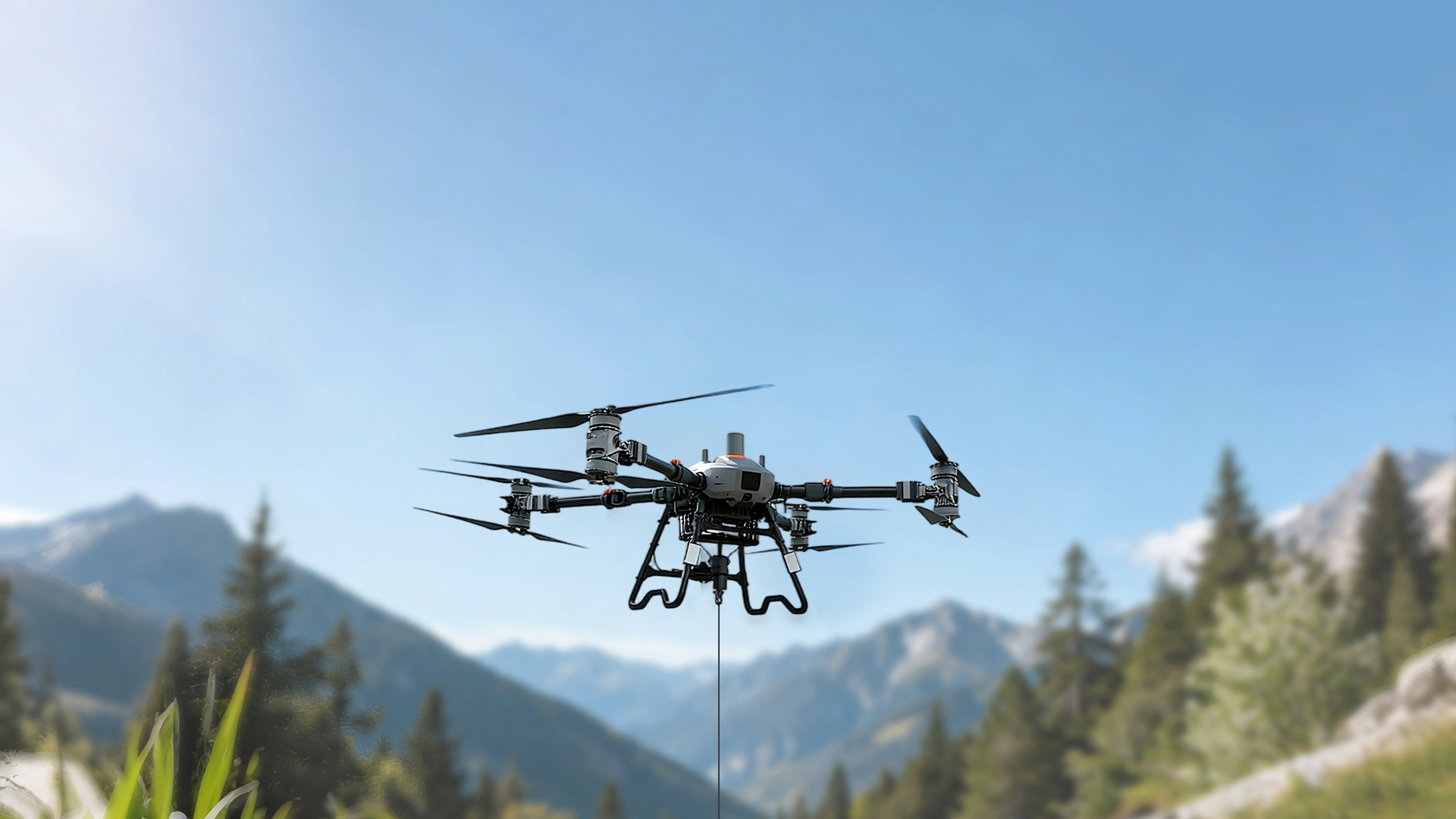 Vector AGR Official Website Development