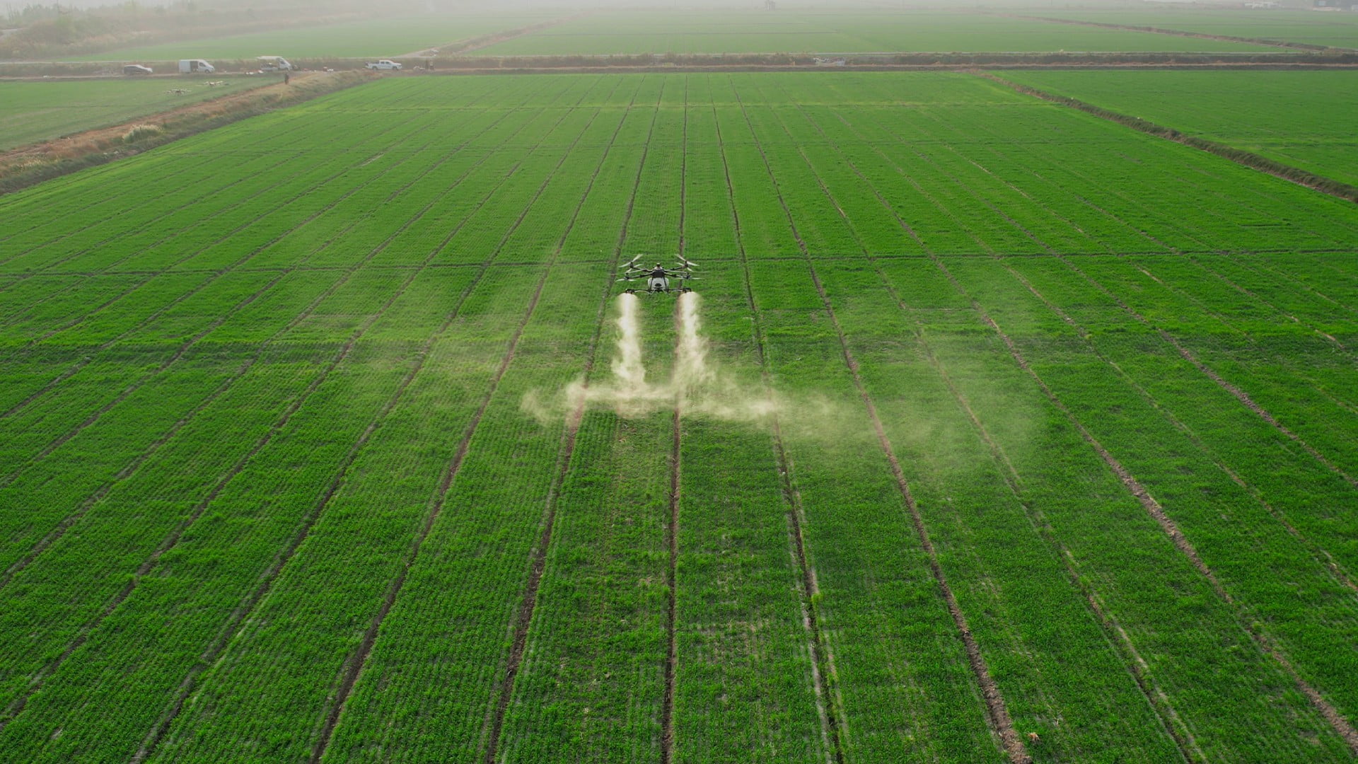 Vector AGR Official Website Development