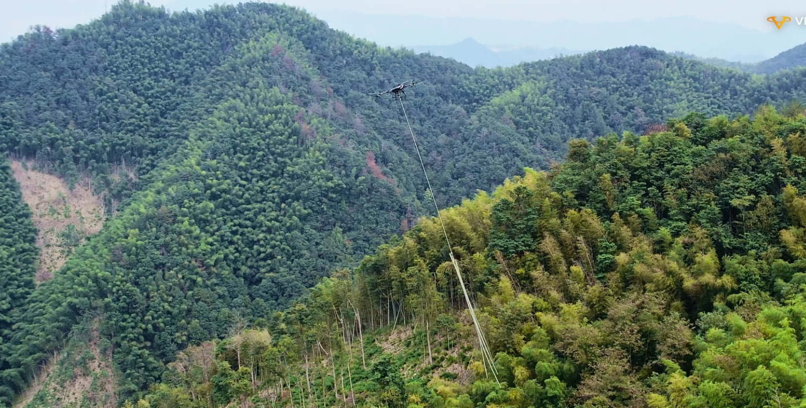 Vector AGR Official Website Development