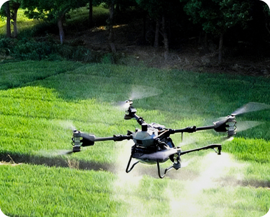 Vector AGR Official Website Development