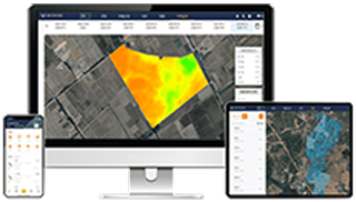 Vector AGR Official Website Development