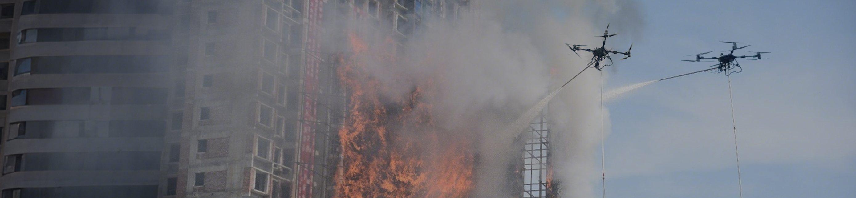 Vector AGR Official Website Development