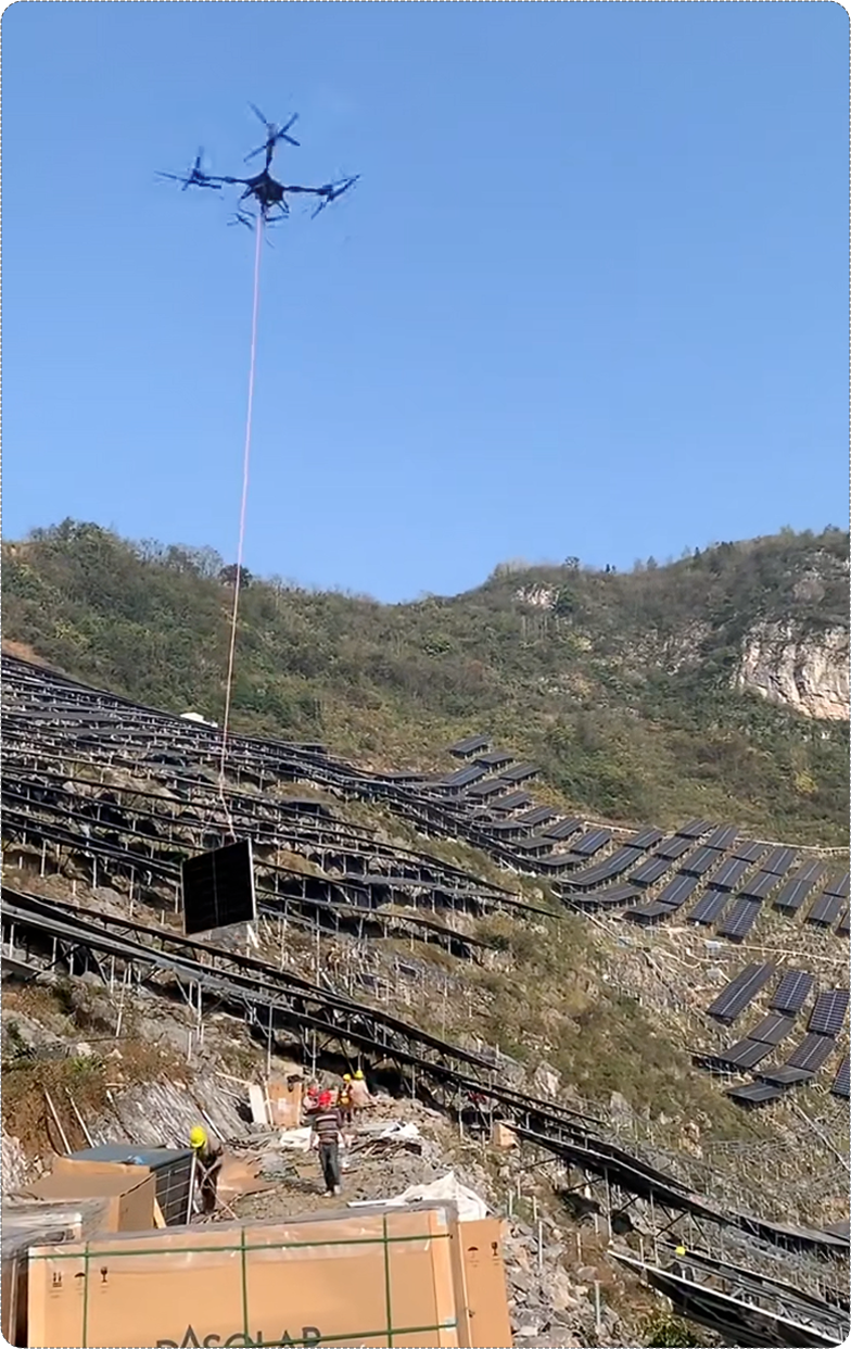 Vector AGR Official Website Development