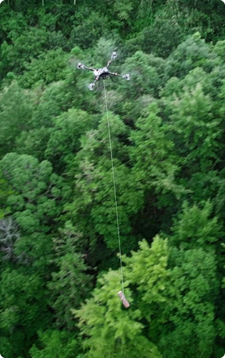 Vector AGR Official Website Development